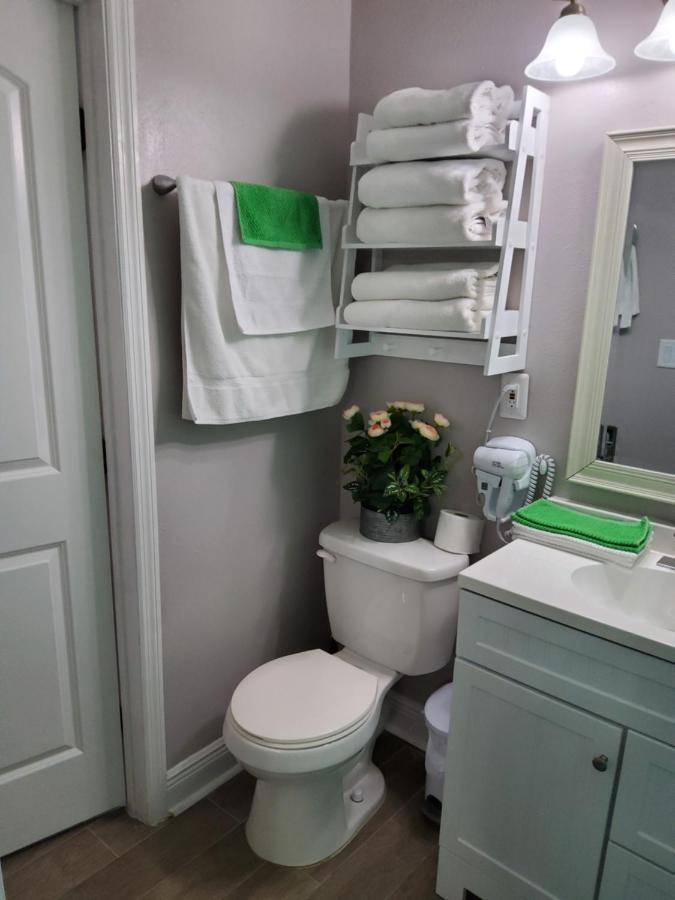 Beautiful Apartment Close To Everything Tampa Exteriör bild