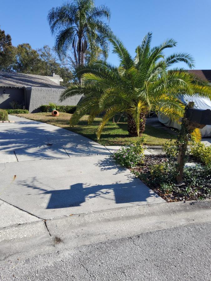 Beautiful Apartment Close To Everything Tampa Exteriör bild