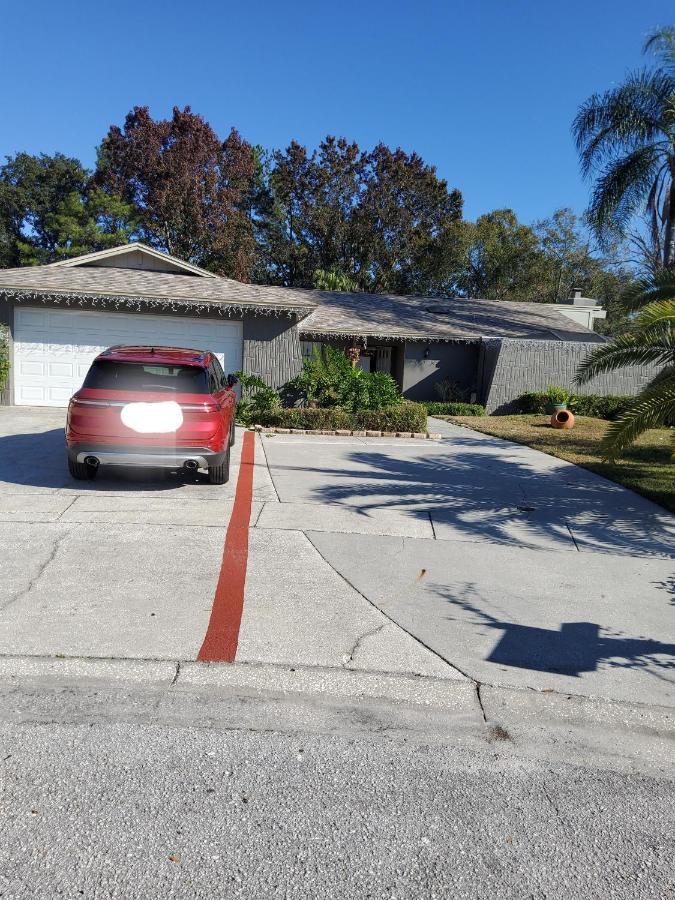 Beautiful Apartment Close To Everything Tampa Exteriör bild