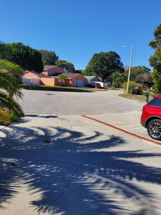 Beautiful Apartment Close To Everything Tampa Exteriör bild