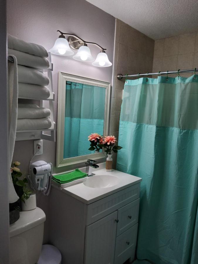 Beautiful Apartment Close To Everything Tampa Exteriör bild
