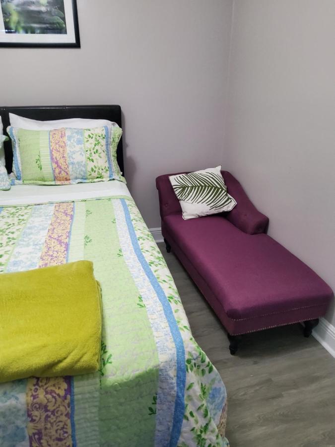 Beautiful Apartment Close To Everything Tampa Exteriör bild