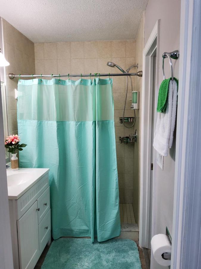 Beautiful Apartment Close To Everything Tampa Exteriör bild