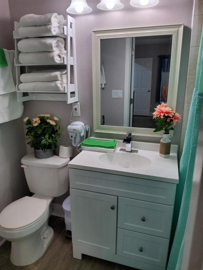 Beautiful Apartment Close To Everything Tampa Exteriör bild