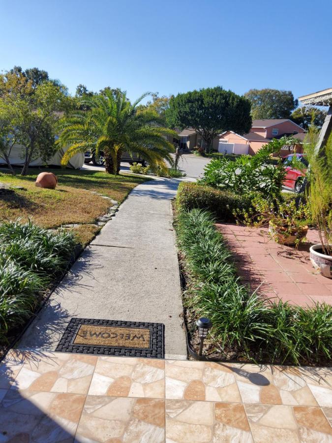 Beautiful Apartment Close To Everything Tampa Exteriör bild