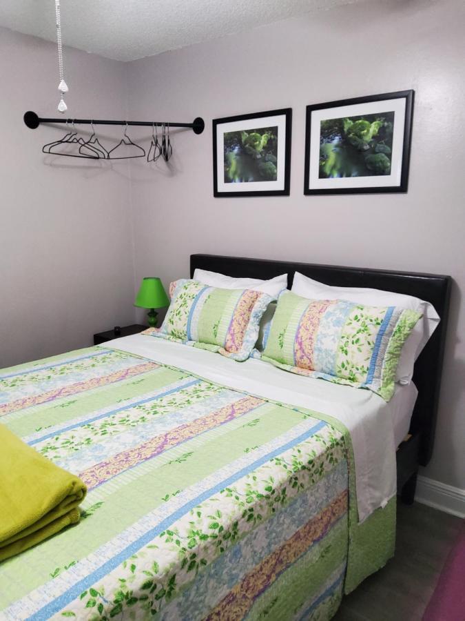 Beautiful Apartment Close To Everything Tampa Exteriör bild
